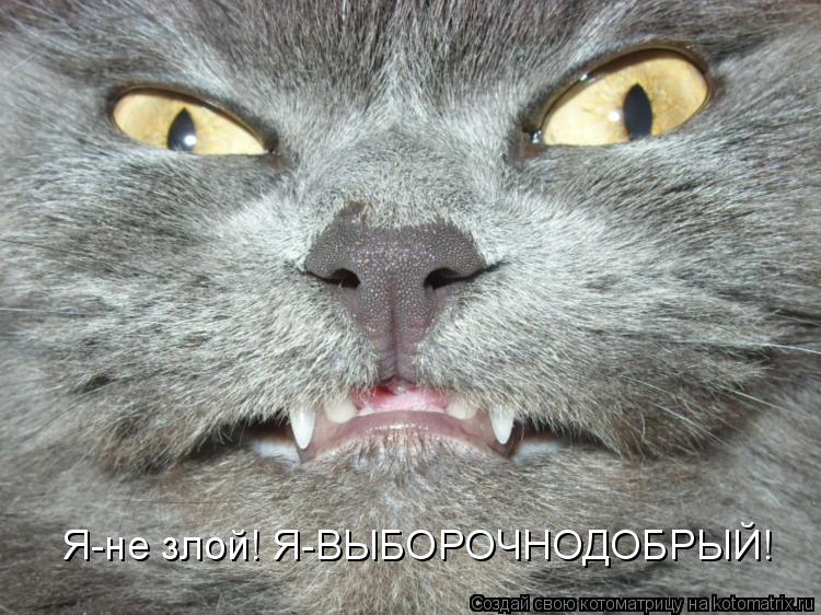 Котоматрица: Я-не злой! Я-ВЫБОРОЧНОДОБРЫЙ!