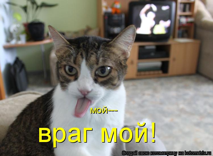 Котоматрица: мой--- враг мой!
