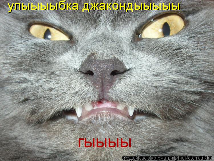Котоматрица: гыыыы улыыыыбка джакондыыыыы