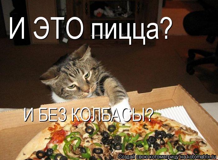 Котоматрица: И ЭТО пицца? И БЕЗ КОЛБАСЫ?