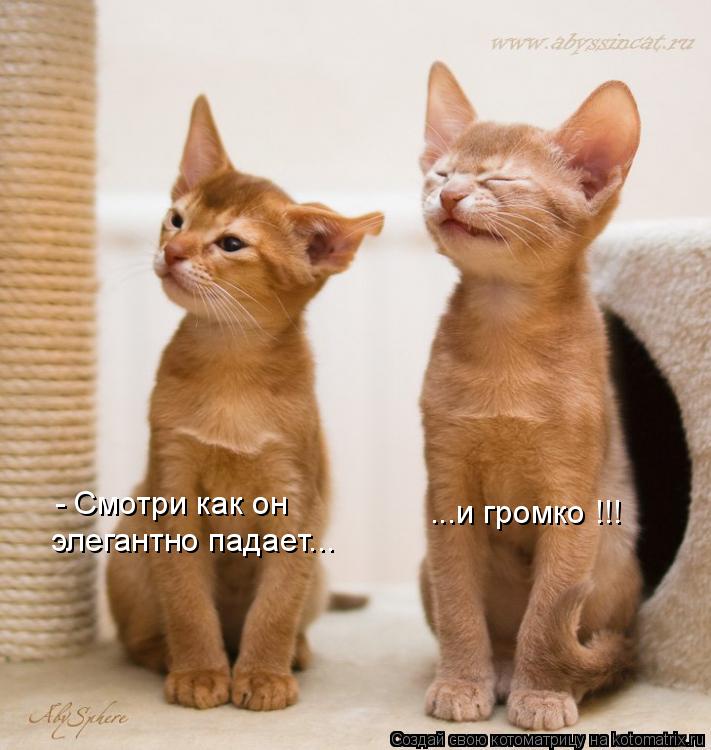 - Смотри как он ...и громко !!! элегантно падает...... Котоматрица: - Смотри как он ...и громко !!! элегантно падает...