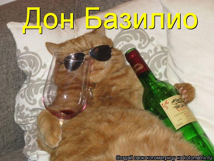 Котоматрица: Дон Базилио