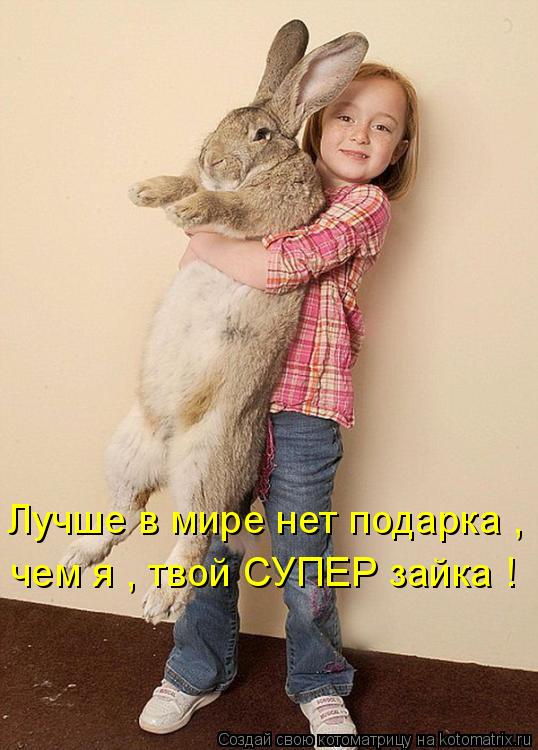 Котоматрица: Лучше в мире нет подарка , чем я , твой СУПЕР зайка !