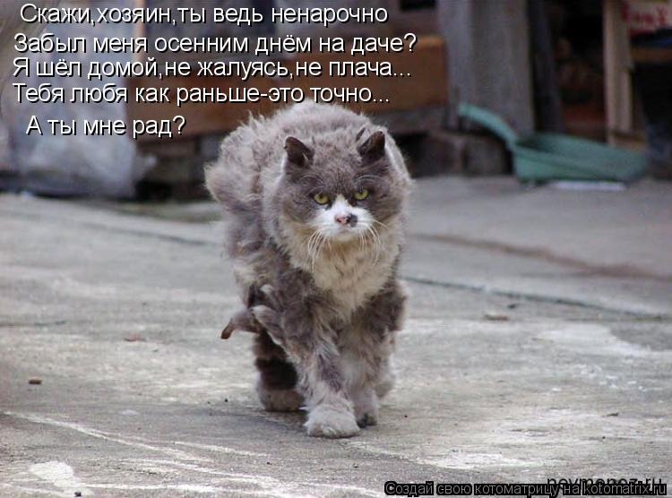 Скажи,хозяин,ты ведь ненарочно Забыл меня осенним днём на даче? Я шёл домой,не жалуясь,не плача... Те... Котоматрица: Скажи,хозяин,ты ведь ненарочно Забыл меня осенним днём на даче? Я шёл домой,не жалуясь,не плача... Тебя любя как раньше-это точно... А ты мне ра