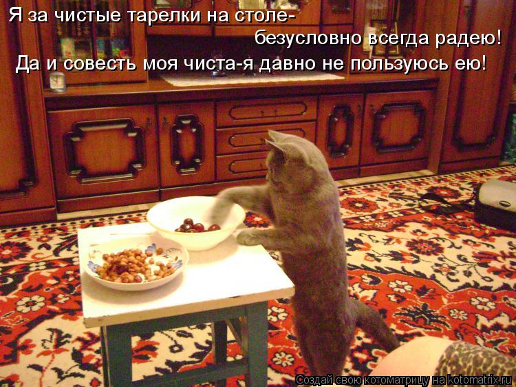 Котоматрица: Я за чистые тарелки на столе- безусловно всегда радею! Да и совесть моя чиста-я давно не пользуюсь ею!