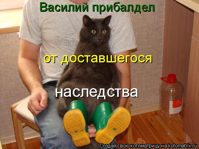 Котоматрица: Василий прибалдел от доставшегося  наследства