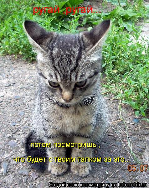 Котоматрица: ругай ,ругай... потом посмотришь ,  что будет с твоим тапком за это...