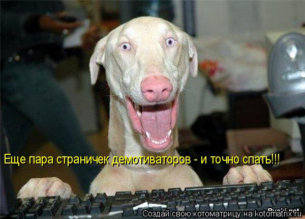 Котоматрица: Еще пара страничек демотиваторов - и точно спать!!!