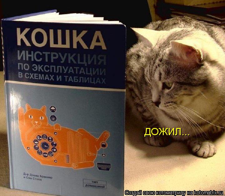Котоматрица: ДОЖИЛ...