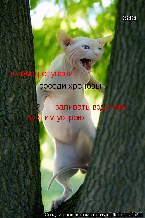 Котоматрица: ааа в конец опупели соседи хреновы заливать вздумали ну я им устрою,