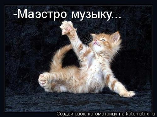 Котоматрица: -Маэстро музыку...