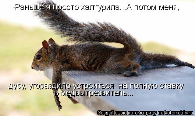 Котоматрица: -Раньше я просто халтурила...А потом меня,  дуру, угораздило устроиться  на полную ставку в медвытрезвитель...