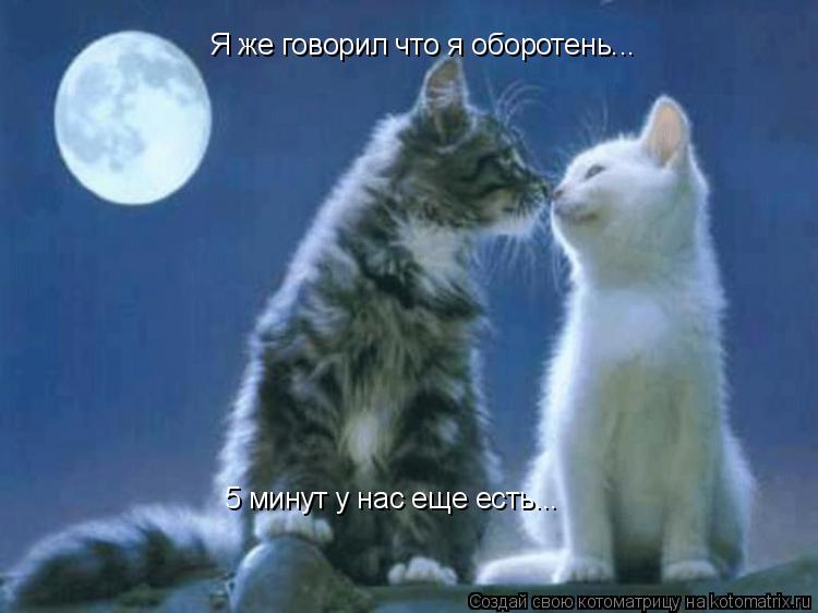 Котоматрица: Я же говорил что я оборотень... 5 минут у нас еще есть...