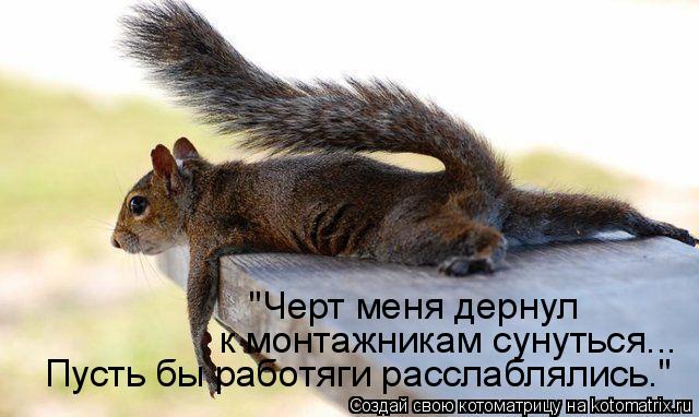 Котоматрица: "Черт меня дернул к монтажникам сунуться... Пусть бы работяги расслаблялись."
