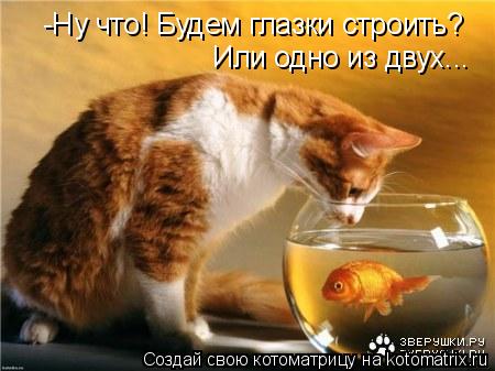 Котоматрица: -Ну что! Будем глазки строить? Или одно из двух...