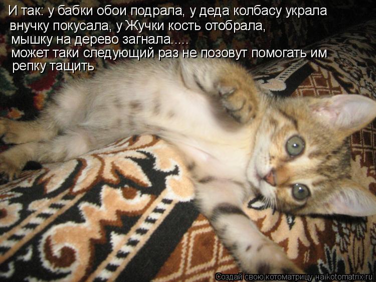 Котоматрица: И так: у бабки обои подрала, у деда колбасу украла внучку покусала, у Жучки кость отобрала, мышку на дерево загнала..... может таки следующий р