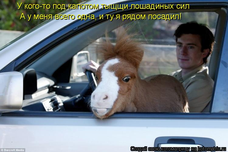 Котоматрица: У кого-то под капотом тыщщи лошадиных сил А у меня всего одна, и ту я рядом посадил!