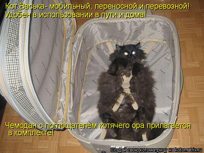 Котоматрица: Кот Васька- мобильный, переносной и перевозной! Удобен в использовании в пути и дома! Чемодан с поглощателем котячего ора прилагается в ком