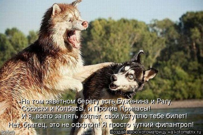 Котоматрица: -На том заветном берегу есть Буженина и Рагу, Сосиски и Колбасы, и Прочие Припасы! И я, всего за пять котлет, свой уступлю тебе билет! Нет, брат