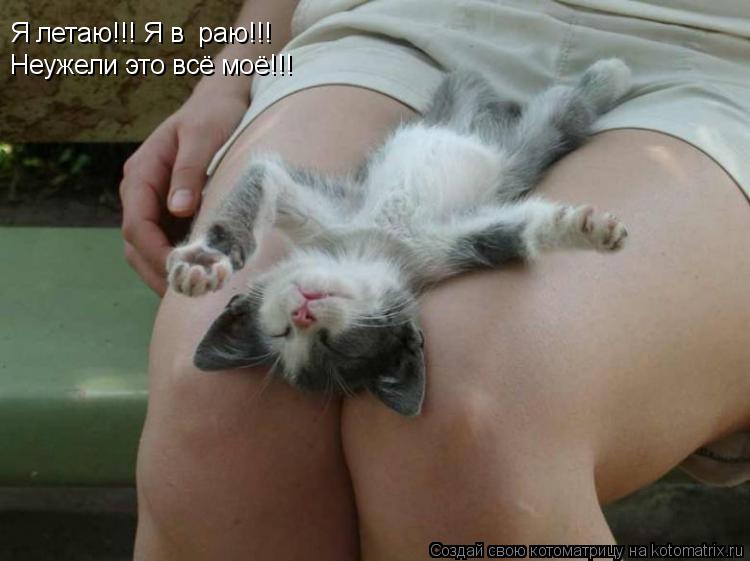 Котоматрица: Я летаю!!! Я в  раю!!! Неужели это всё моё!!!