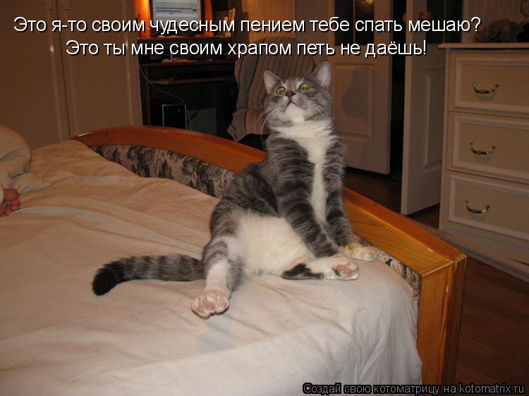 Это я-то своим чудесным пением тебе спать мешаю? Это ты мне своим храпом петь не даёшь!... Котоматрица: Это я-то своим чудесным пением тебе спать мешаю? Это ты мне своим храпом петь не даёшь!
