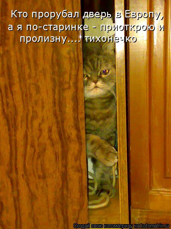 Котоматрица: Кто прорубал дверь в Европу,  Кто прорубал дверь в Европу,  а я по-старинке - приоткрою и  пролизну.... тихонечко