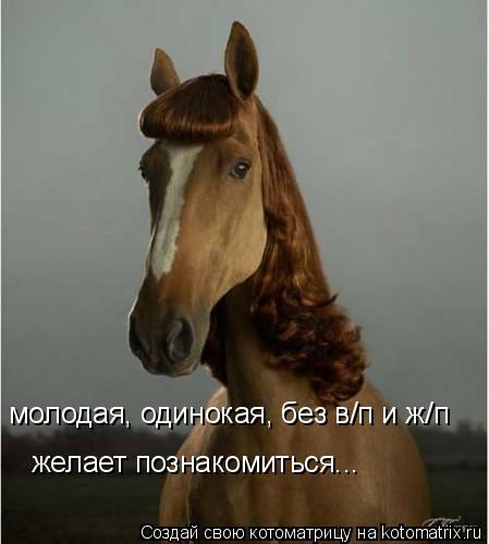 Котоматрица: молодая, одинокая, без в/п и ж/п  желает познакомиться...