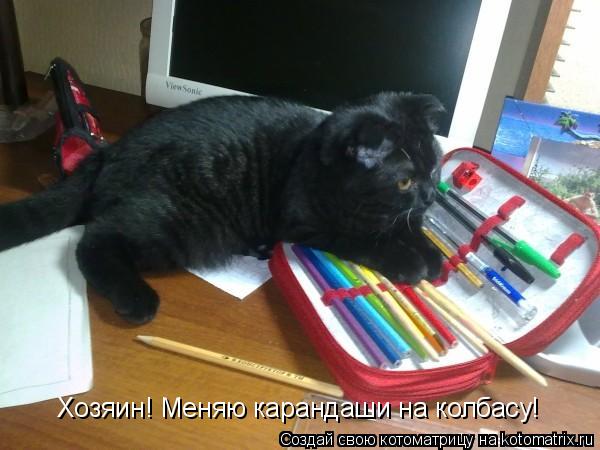 Хозяин! Меняю карандаши на колбасу!... Котоматрица: Хозяин! Меняю карандаши на колбасу!