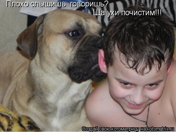 Плохо слышишь говоришь? Ща ухи почистим!!!... Котоматрица: Плохо слышишь говоришь? Ща ухи почистим!!!
