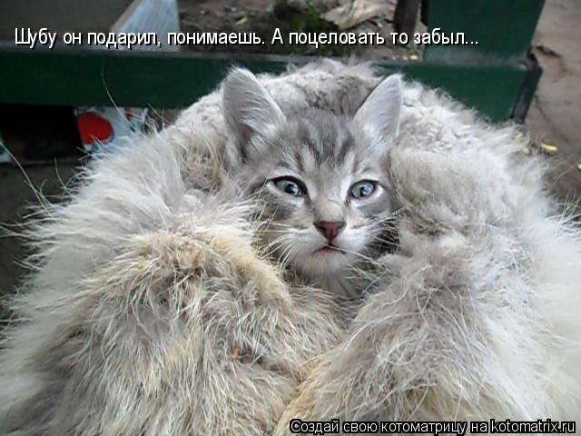 Котоматрица: Шубу он подарил, понимаешь. А поцеловать то забыл...
