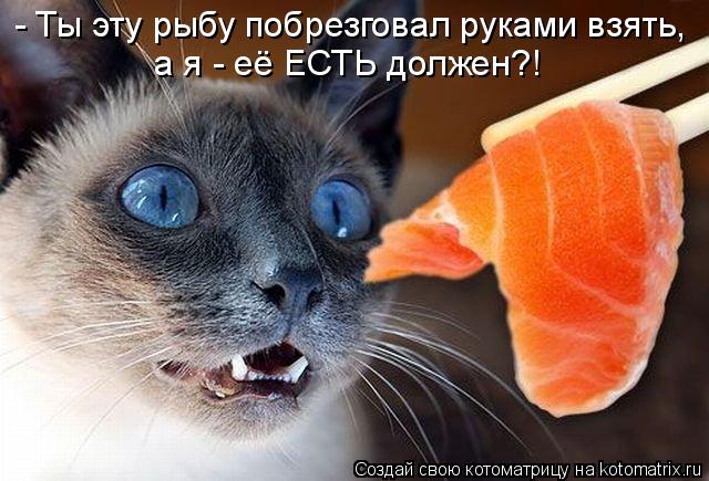 Котоматрица: - Ты эту рыбу побрезговал руками взять, а я - её ЕСТЬ должен?!