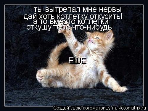 Котоматрица: ты вытрепал мне нервы дай хоть котлетку откусить! а то вместо котлетки откушу тебе что-нибудь ЕЩЕ