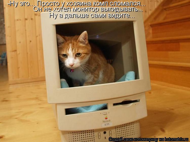 Котоматрица: -Ну это... Просто у хозяина комп сломался... Он не хотел монитор выкидывать... Ну а дальше сами видите...