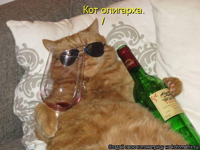 Котоматрица: Кот олигарха. /