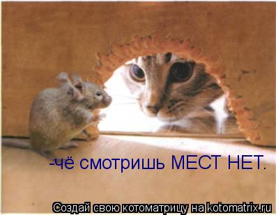 Котоматрица: -чё смотришь МЕСТ НЕТ.