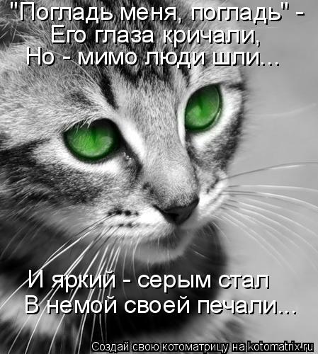 "Погладь меня, погладь" - Его глаза кричали, Но - мимо люди шли... И яркий - серым стал В немой свое... Котоматрица: "Погладь меня, погладь" - Его глаза кричали, Но - мимо люди шли... И яркий - серым стал В немой своей печали...