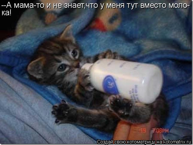 Котоматрица: --А мама-то и не знает,что у меня тут вместо моло- ка!
