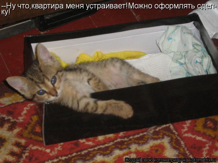 Котоматрица: --Ну что,квартира меня устраивает!Можно оформлять сдел- ку!
