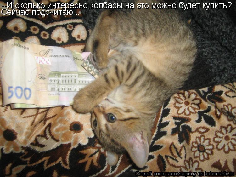 Котоматрица: --И сколько,интересно,колбасы на это можно будет купить? Сейчас подсчитаю...