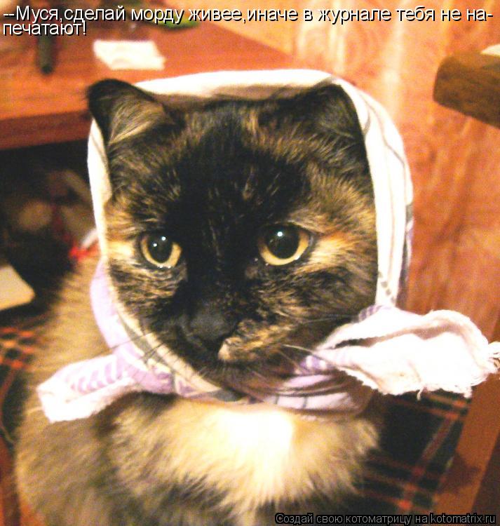 Котоматрица: --Муся,сделай морду живее,иначе в журнале тебя не на- печатают!