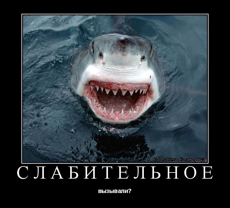 Котоматрица: Слабительное вызывали?