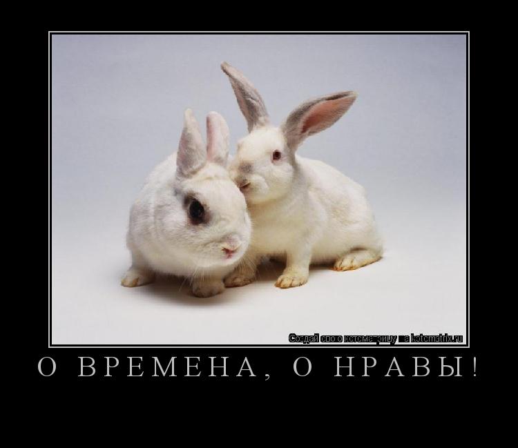Котоматрица: О времена, о нравы! 