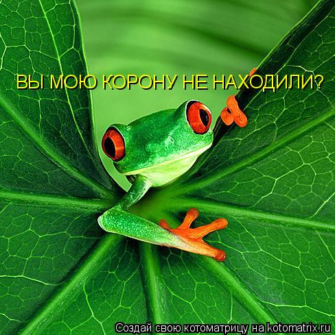 Котоматрица: ВЫ МОЮ КОРОНУ НЕ НАХОДИЛИ?