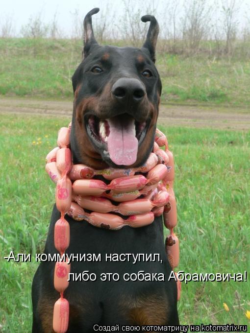 Котоматрица: -Али коммунизм наступил,  либо это собака Абрамовича!