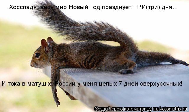 Котоматрица: Хосспадя, весь мир Новый Год празднует ТРИ(три) дня... И тока в матушке-России у меня целых 7 дней сверхурочных!