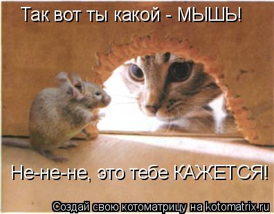 Котоматрица: Так вот ты какой - МЫШЬ! Не-не-не, это тебе КАЖЕТСЯ!