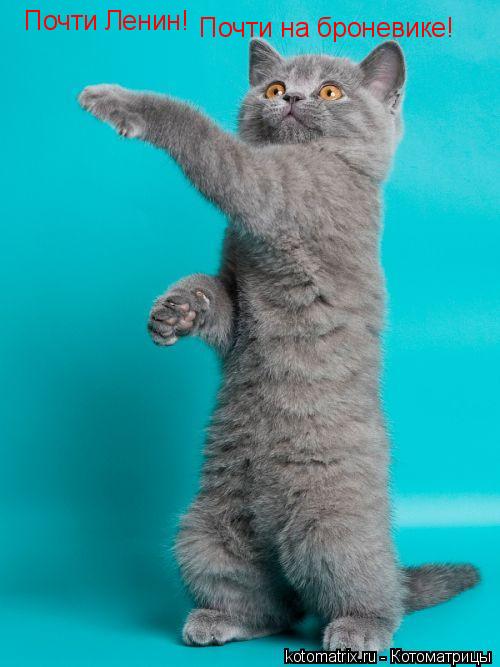 Котоматрица: Почти Ленин! Почти на броневике!