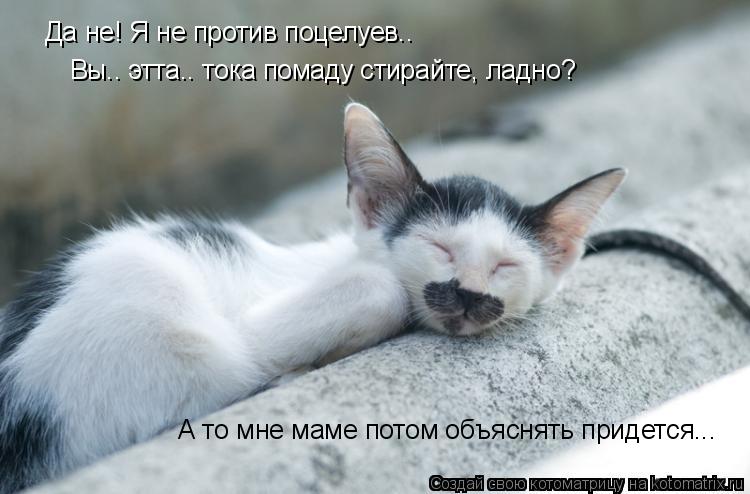 Котоматрица: Да не! Я не против поцелуев.. Вы.. этта.. тока помаду стирайте, ладно? А то мне маме потом объяснять придется...