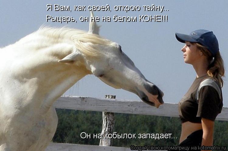 Котоматрица: Я Вам, как своей, открою тайну... Рыцарь, он не на белом КОНЕ!!! Он на кобылок западает...