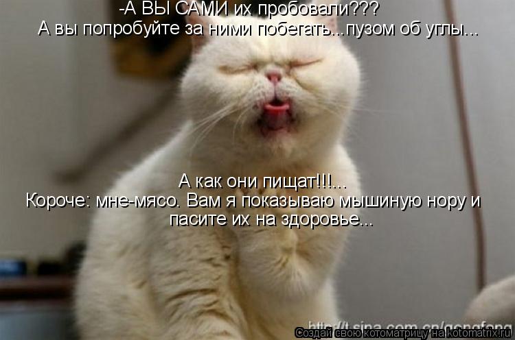 Котоматрица: А вы попробуйте за ними побегать...пузом об углы... -А ВЫ САМИ их пробовали??? А как они пищат!!!... Короче: мне-мясо. Вам я показываю мышиную нору и